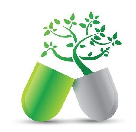 HEALTH & WELLNESS