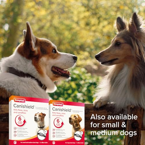 Beaphar - Canishield® Medicated Flea & Tick Collar for Large Dogs - Kills Fleas, Ticks & Sandflies - 4-6 Months Long-Lasting Protection - Vet Strength Flea Treatment - Adjustable Collar up to 65cm