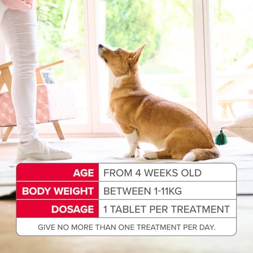Beaphar - Flea Tablets for Small Dogs (1-11kg)