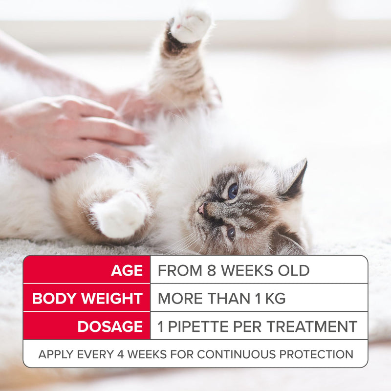 Beaphar - FIPROtec Spot-On Flea & Tick Treatment for Cats