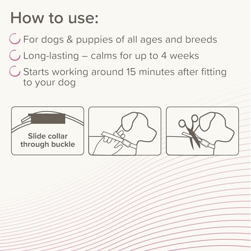 Beaphar - CaniComfort® Calming Collar For Dogs – Reduces Stress & Anxiety – Pheromone Calming for Dogs – Long-Lasting Up to 4 Weeks – Ideal for Anxious Dogs & Long-Term Stress – 1 x 65cm Collar
