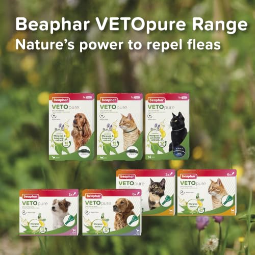 Beaphar – VETOpure Flea Spot On for Dogs over 15kg