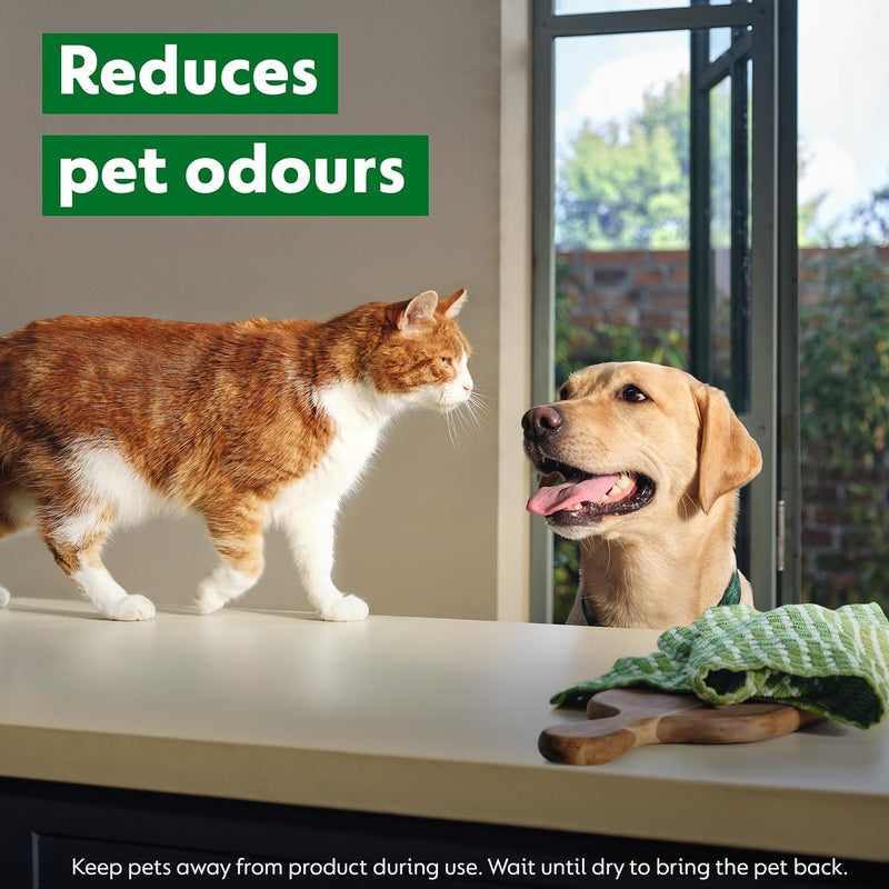 Dettol Laundry Sanitiser, Homes with pets, Fresh Breeze, 4.5L Total (750ml x 6pck) Eliminates Pet Odours, Cleanser & Disinfectant, Kills 99.9 Percent of Bacteria