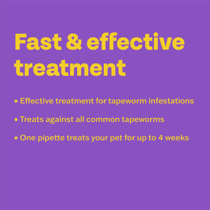 Bob Martin Clear | Spot On Wormer for Cats & Kittens | 100% Effective Tapeworm Treatment