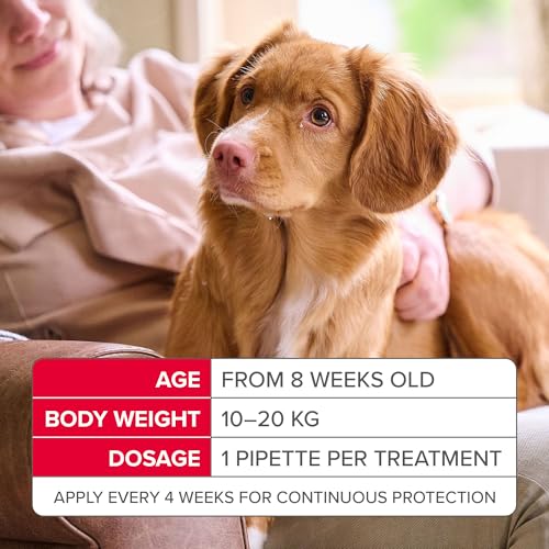 Beaphar - FIPROtec Spot-On Flea & Tick Treatment for Large Dogs