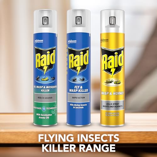 Raid