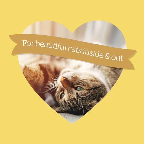 SUPACAT ADULT CHICKEN & DUCK 10KG