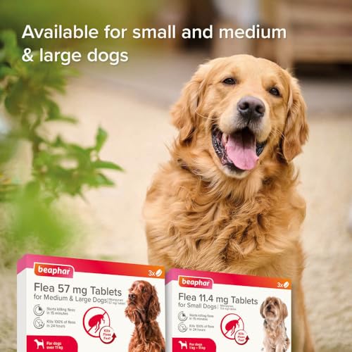 Beaphar - Flea Tablets for Small Dogs (1-11kg)