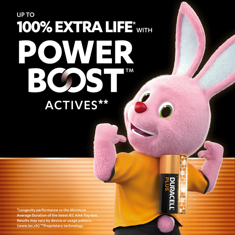 Duracell Plus Power DUR019058 AAA Batteries Pack of 24