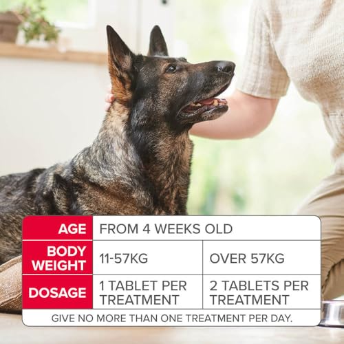 Beaphar - Flea Tablets for Small Dogs (1-11kg)