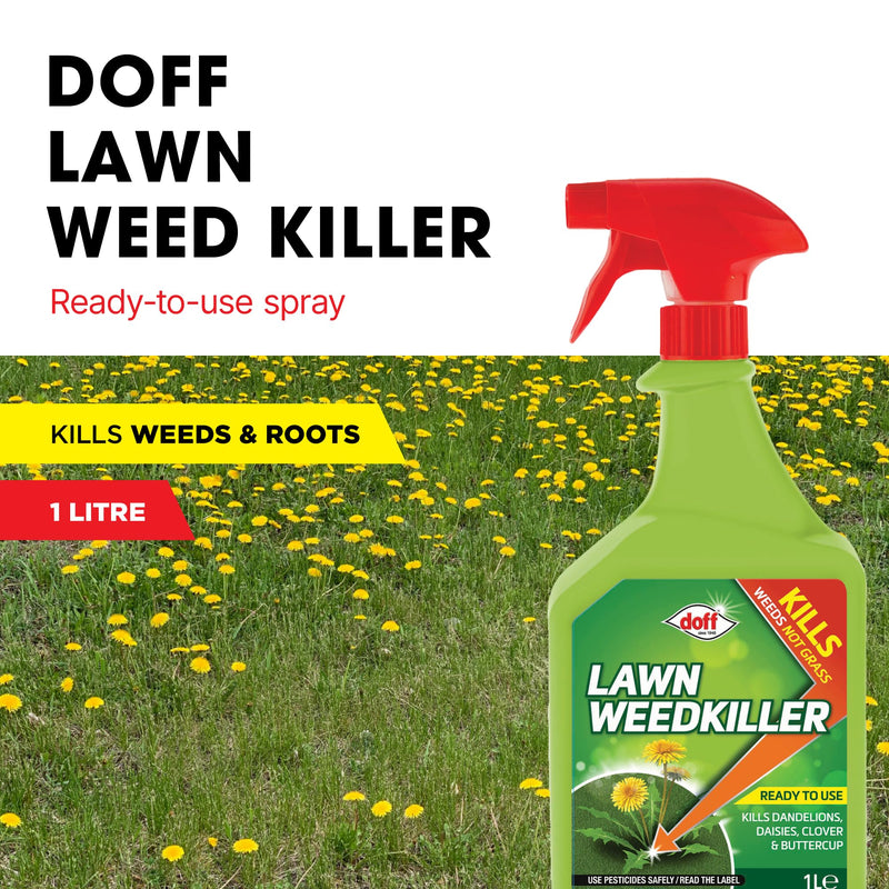Doff Lawn Weedkiller Spray Bottle Specially Formulated Ready to Use, 1 x Doff Lawn Weedkiller 1L
