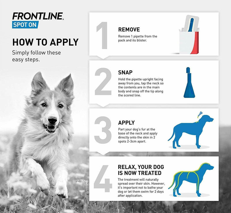 FRONTLINE Spot On Flea & Tick Treatment for Small Dogs (2-10kg) 1 Pipette Box