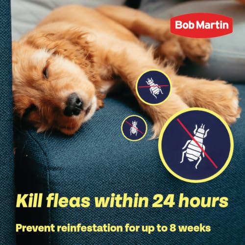 Bob Martin Clear Spot On Flea Treatment for Cats & Kitten
