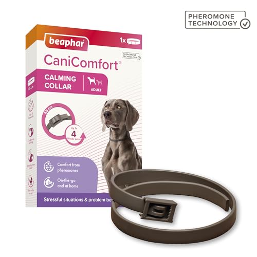 Beaphar - CaniComfort® Calming Collar For Dogs – Reduces Stress & Anxiety – Pheromone Calming for Dogs – Long-Lasting Up to 4 Weeks – Ideal for Anxious Dogs & Long-Term Stress – 1 x 65cm Collar