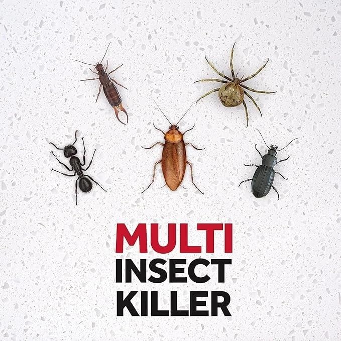 Ráid Multi Insect Killer Spray (6 x 300ml) – Fast-Acting Bug Spray for Flies, Mosquitoes, Ants & Other Insects – Indoor & Outdoor Use-by BIG BRANDS DIRECT