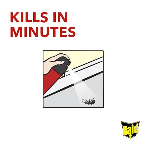 Raid Ant & Cockroach Killer, Insect Killer For Indoor Use, Long Lasting Protection for the Home, Pack of 6 (6 x 300ml)