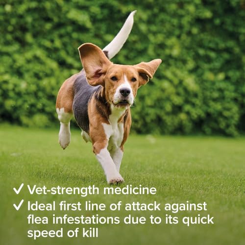 Beaphar - Flea Tablets for Small Dogs (1-11kg)