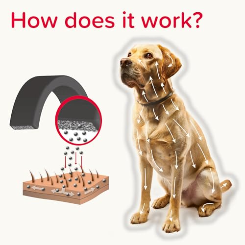 Beaphar - Canishield® Medicated Flea & Tick Collar for Large Dogs - Kills Fleas, Ticks & Sandflies - 4-6 Months Long-Lasting Protection - Vet Strength Flea Treatment - Adjustable Collar up to 65cm