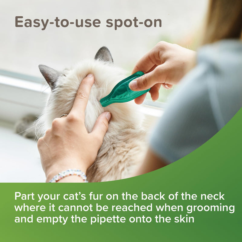 Beaphar – VETOpure Flea Spot On for Dogs over 15kg