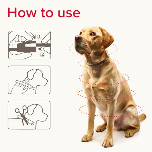 Beaphar - Canishield® Medicated Flea & Tick Collar for Large Dogs - Kills Fleas, Ticks & Sandflies - 4-6 Months Long-Lasting Protection - Vet Strength Flea Treatment - Adjustable Collar up to 65cm