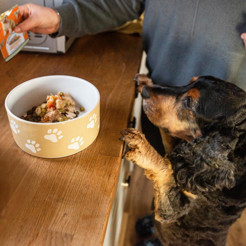 HILife Adult Wet Dog Food, Mixed Chicken & Fish Recipes, Complete Dog Food Pouches, 100% Natural Ingredients, Chicken & Tuna/Chicken & Salmon