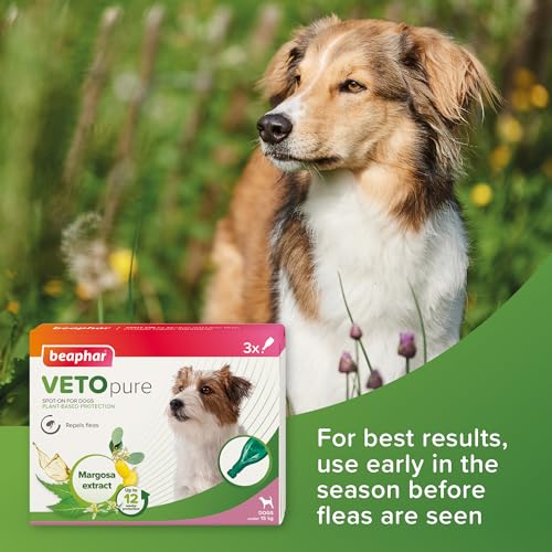 Beaphar – VETOpure Flea Spot On for Dogs over 15kg