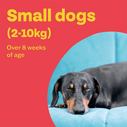 Bob Martin Clear Plus Spot On Flea Treatment for Large, Small and Medium Dogs- Kills Fleas, Ticks, Lice and Flea Eggs (3 Pipettes)