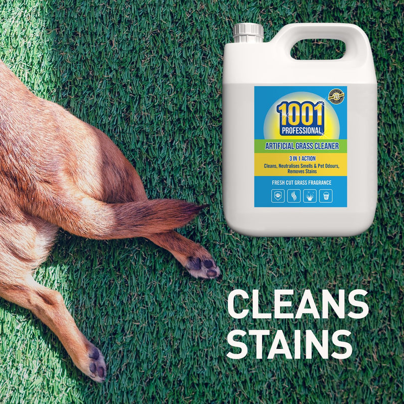 1001 Professional Artificial Grass Cleaner 5L – No Need to Wash Off