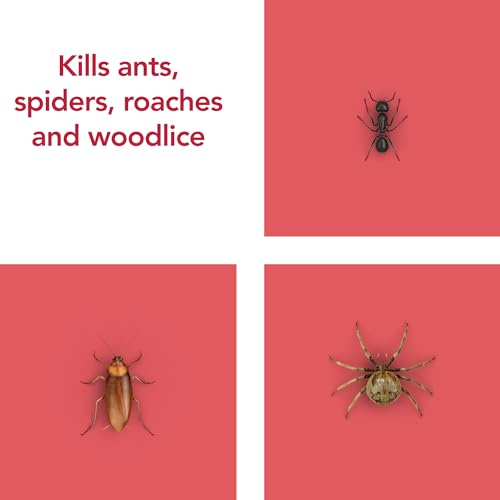 Raid Ant & Cockroach Killer, Insect Killer For Indoor Use, Long Lasting Protection for the Home, Pack of 6 (6 x 300ml)