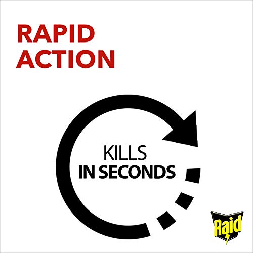 Raid