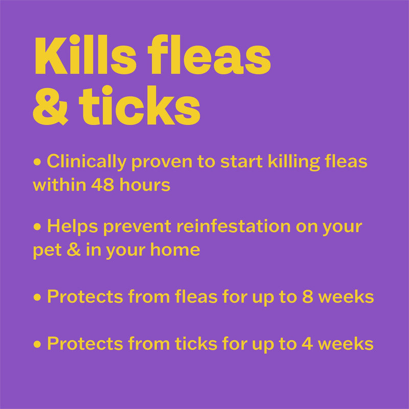 Bob Martin Clear Plus Spot On Flea Treatment for Large, Small and Medium Dogs- Kills Fleas, Ticks, Lice and Flea Eggs (3 Pipettes)
