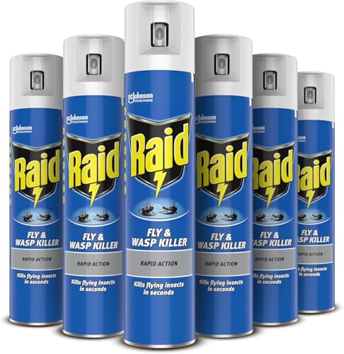 Raid