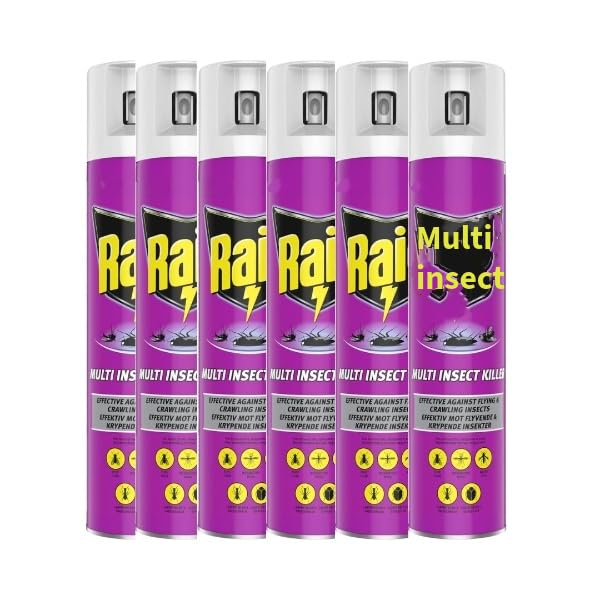 Ráid Multi Insect Killer Spray (6 x 300ml) – Fast-Acting Bug Spray for Flies, Mosquitoes, Ants & Other Insects – Indoor & Outdoor Use-by BIG BRANDS DIRECT