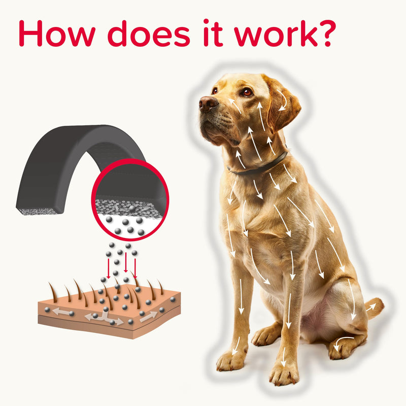Beaphar - Canishield® Medicated Flea & Tick Collar for Small/Med Dogs Kills Fleas, Ticks & Sandflies – 4-6 months Long-Lasting Protection - Vet-Strength Flea Treatment – Adjustable collar up to 48cm