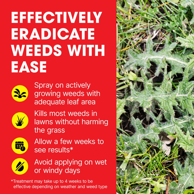 Doff Lawn Weedkiller Spray Bottle Specially Formulated Ready to Use, 1 x Doff Lawn Weedkiller 1L