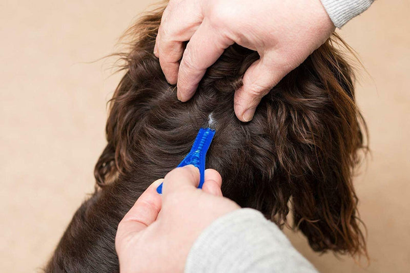 Frontline Spot On Flea Treatment For Dogs 20-40kg, 1 pipettes Flea And Tick Treatment For Dogs, Frontline Flea Treatment For Dogs, Frontline Spot On For Dogs, Frontline For Dogs