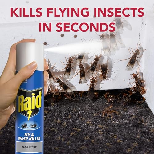 Raid