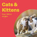 Bob Martin Clear | Spot On Wormer for Cats & Kittens | 100% Effective Tapeworm Treatment