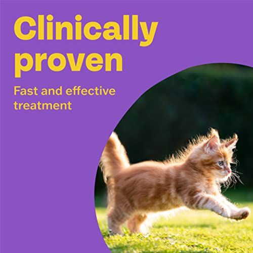 Bob Martin Clear 3-in-1 Wormer