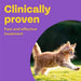 Bob Martin Clear 3-in-1 Wormer