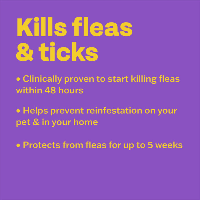 Bob Martin Clear Spot On Flea Treatment for Cats & Kitten