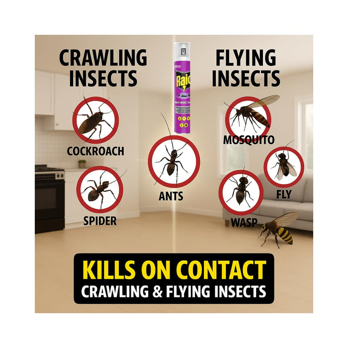 Ráid Multi Insect Killer Spray (6 x 300ml) – Fast-Acting Bug Spray for Flies, Mosquitoes, Ants & Other Insects – Indoor & Outdoor Use-by BIG BRANDS DIRECT
