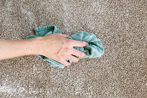 2 x 1001 Carpet Shampoo Hand Cleaner Solution Deep Clean Dirt Stain Remover 500ml