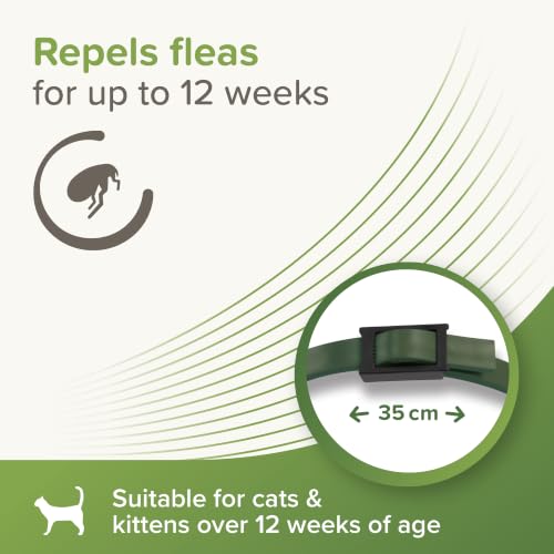 Beaphar – VETOpure Flea Spot On for Dogs over 15kg