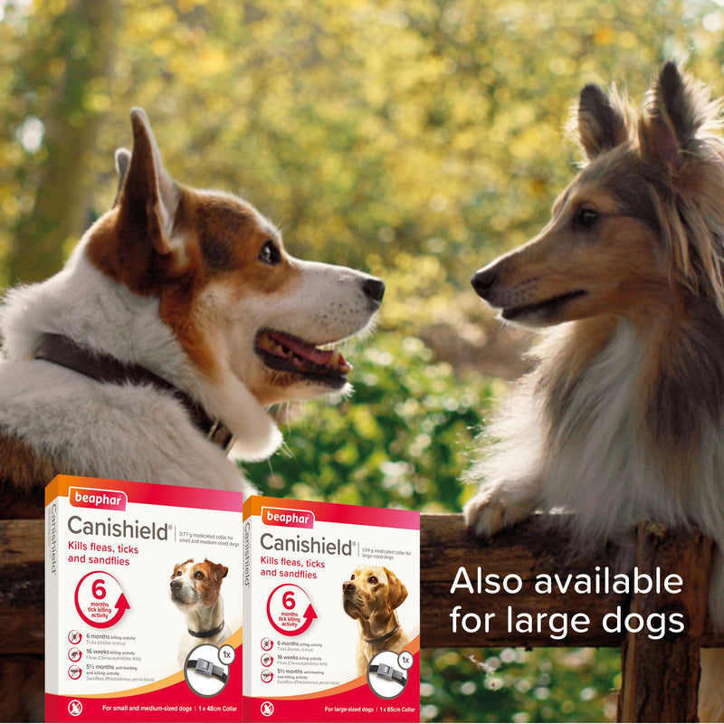 Beaphar - Canishield® Medicated Flea & Tick Collar for Small/Med Dogs Kills Fleas, Ticks & Sandflies – 4-6 months Long-Lasting Protection - Vet-Strength Flea Treatment – Adjustable collar up to 48cm