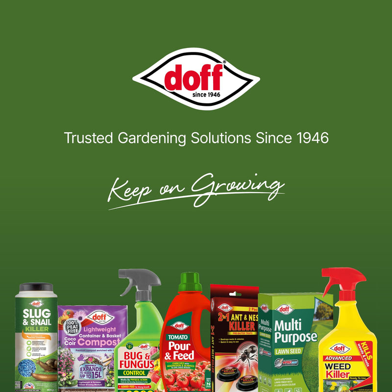 Doff Lawn Weedkiller Spray Bottle Specially Formulated Ready to Use, 1 x Doff Lawn Weedkiller 1L