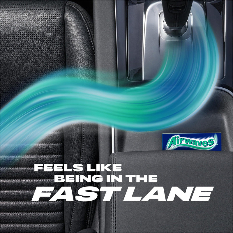 Airwaves Menthol Eucalyptus Sugar Free Chewing Gum Bulk, 30x10 Pcs