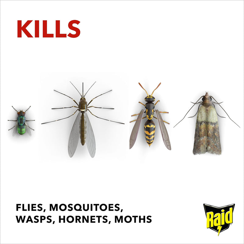 Raid Rapid Action Fly & Wasp Killer, Fly Killer Spray for Indoor Use, 300ml