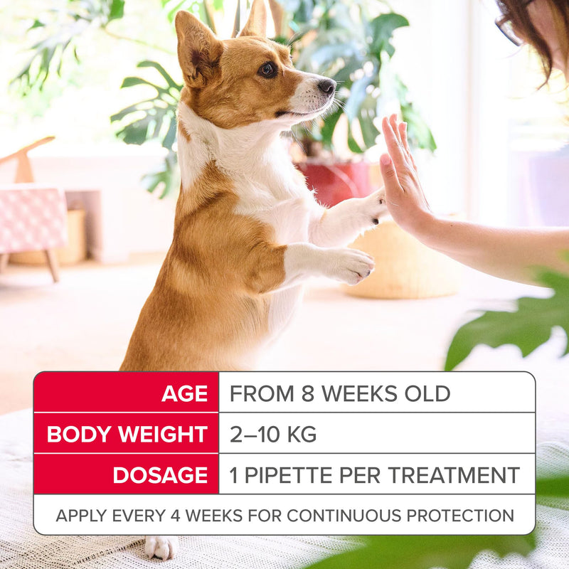Beaphar - FIPROtec Spot-On Flea & Tick Treatment for Large Dogs