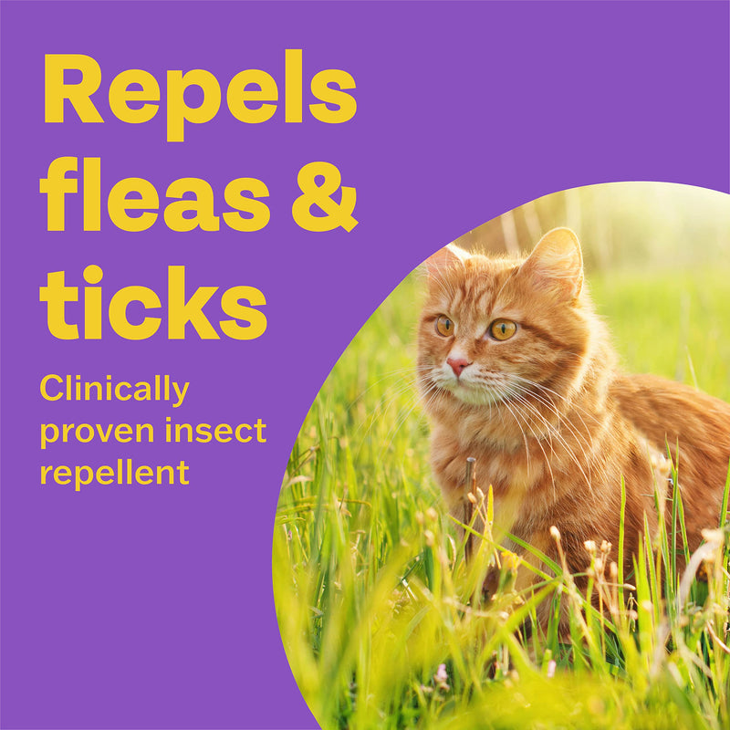 Bob Martin Clear Spot On Flea Treatment for Cats & Kitten